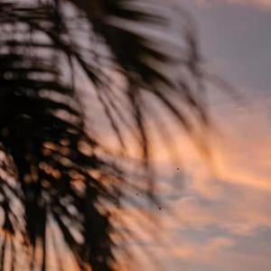 孩娃Fide0SⅩ娇小摘花
